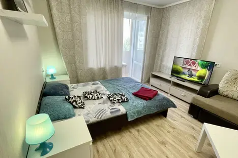 1-комнатная квартира в Омске, Иртышская наб., 13