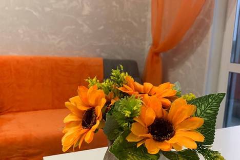 1-комнатная квартира в Москве, р-н  Троицк, ул. Яворки, 1к5