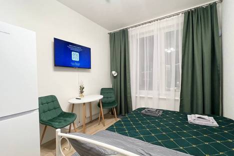 1-комнатная квартира в Санкт-Петербурге, наб. Миклухо-Маклая, 3к1