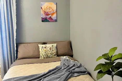 1-комнатная квартира в поселке Песочном, Садовая ул., 81