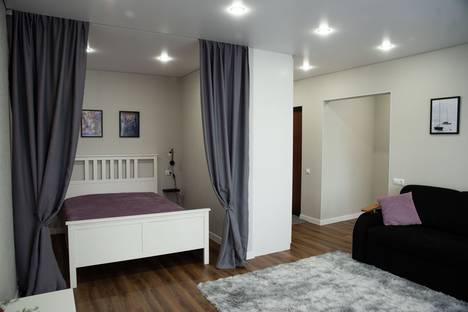 1-комнатная квартира в Омске, мкр. Заозёрный, ул. Бородина, 2