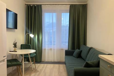 1-комнатная квартира в Санкт-Петербурге, наб. Миклухо-Маклая, 3к1