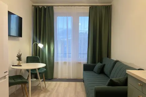 1-комнатная квартира в Санкт-Петербурге, наб. Миклухо-Маклая, 3к1