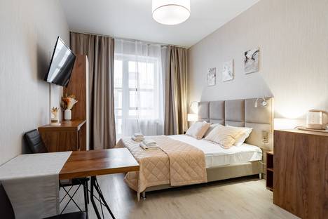 Однокомнатная квартира в аренду посуточно в Санкт-Петербурге по адресу Пулковское ш., 14с6