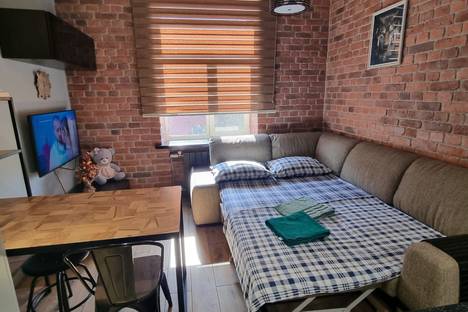 1-комнатная квартира в Москве, Гостиничная ул., 10к5