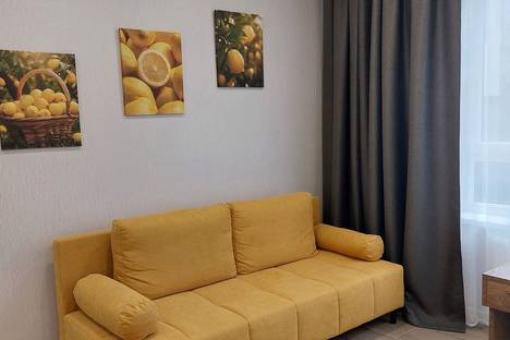 Однокомнатная квартира в аренду посуточно в Калининграде по адресу ул. Генерала Челнокова, 27