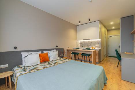 Однокомнатная квартира в аренду посуточно в Санкт-Петербурге по адресу дор. на Турухтанные Острова, 5к1