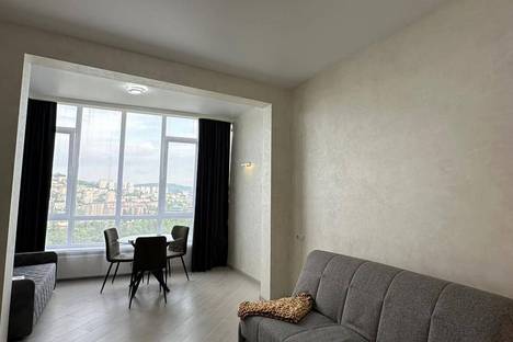 Однокомнатная квартира в аренду посуточно в Сочи по адресу Виноградная ул., 195/1