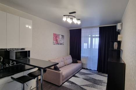 1-комнатная квартира в Воронеже, ул. Туполева, 27А