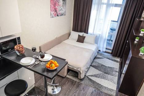 1-комнатная квартира в Воронеже, ул. Туполева, 27А