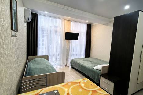 Однокомнатная квартира в аренду посуточно в Сириусе по адресу Цветочная ул., 15/20