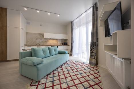 1-комнатная квартира в Светлогорске, Ольховая ул., 32к10