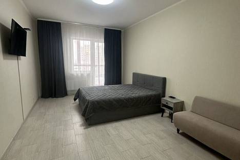 Однокомнатная квартира в аренду посуточно в Нефтеюганске по адресу 17-й мкр., 1/2