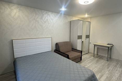 Однокомнатная квартира в аренду посуточно в Нефтеюганске по адресу 9-й мкр., 3