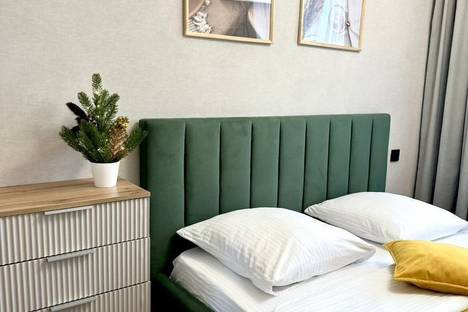 1-комнатная квартира в Воронеже, мкр. Шилово, ул. Теплоэнергетиков, 17к2