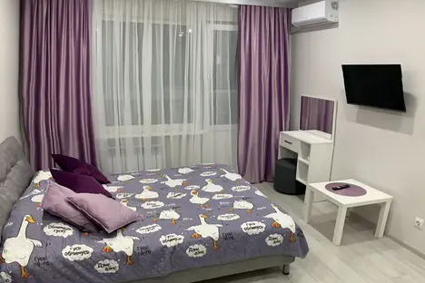 1-комнатная квартира в Саратове, ул. им. Виктора Аржаного, 8