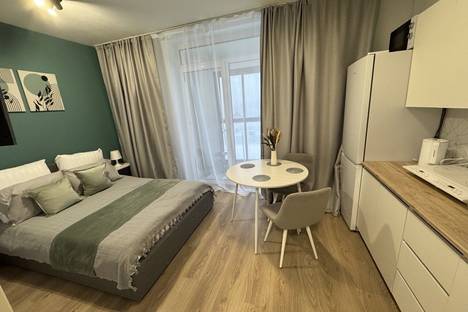 Однокомнатная квартира в аренду посуточно в Екатеринбурге по адресу Новосинарский б-р, 7