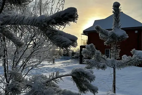 Дом в Ярославской области, Ярославская область, д. Медведково, 3Вс1