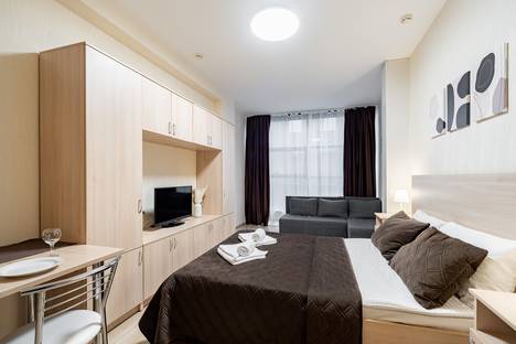 Однокомнатная квартира в аренду посуточно в Санкт-Петербурге по адресу Пулковское ш., 14Е