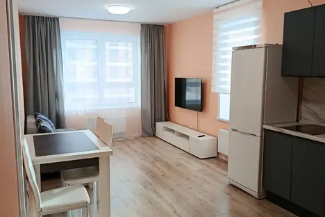 2-комнатная квартира в Екатеринбурге, ул. Паригория Суетина, 3