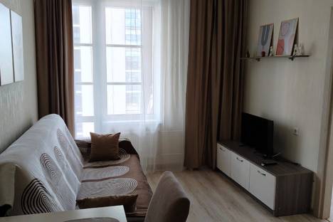 Двухкомнатная квартира в аренду посуточно в Санкт-Петербурге по адресу Пулковское ш., 14Е