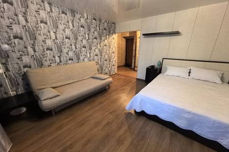 Однокомнатная квартира в аренду посуточно в Томске по адресу Совпартшкольный пер., 12/1