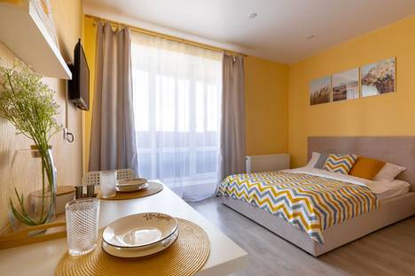 1-комнатная квартира в Санкт-Петербурге, ул. Фёдора Котанова, 3к2