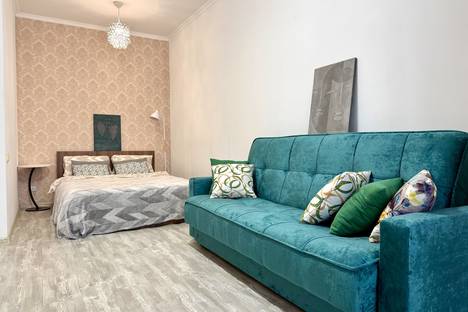 1-комнатная квартира в Санкт-Петербурге, Санкт-Петербург, пр-кт Маршала Блюхера, 8к1