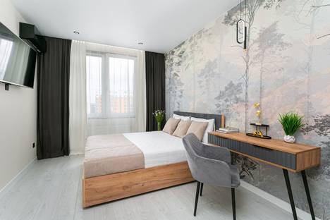 1-комнатная квартира в Санкт-Петербурге, Измайловский б-р, 11