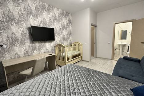 Трёхкомнатная квартира в аренду посуточно в Екатеринбурге по адресу ул. Радищева, 41/2