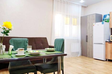 1-комнатная квартира в Ноябрьске, Холмогорская ул., 68