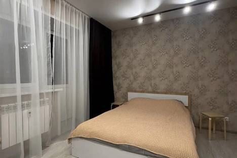 Однокомнатная квартира в аренду посуточно в Благовещенске по адресу Кузнечная ул., 84