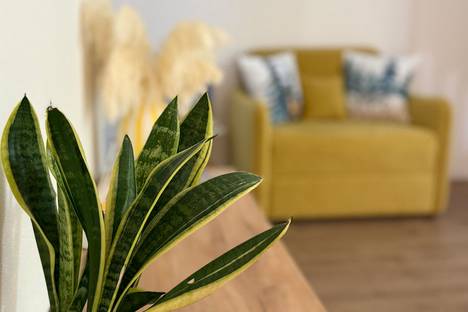 1-комнатная квартира в Бресте, Брест, Комсомольская ул., 23