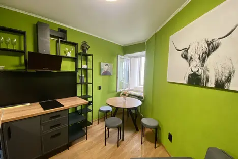 1-комнатная квартира в Санкт-Петербурге, пр-кт Энгельса, 139/21