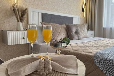 Однокомнатная квартира в аренду посуточно в Угличе по адресу ул. Ольги Берггольц, 15к2