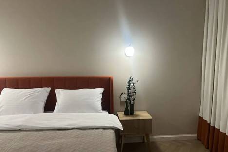 Однокомнатная квартира в аренду посуточно в Воронеже по адресу ул. Ворошилова, 1А