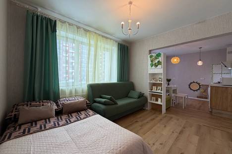 Однокомнатная квартира в аренду посуточно в Новосибирске по адресу мкр. Околица, 2