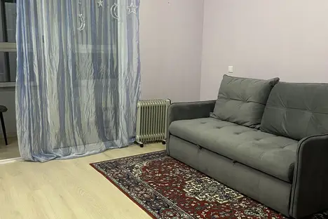 1-комнатная квартира в Екатеринбурге, Счастливая ул., 3