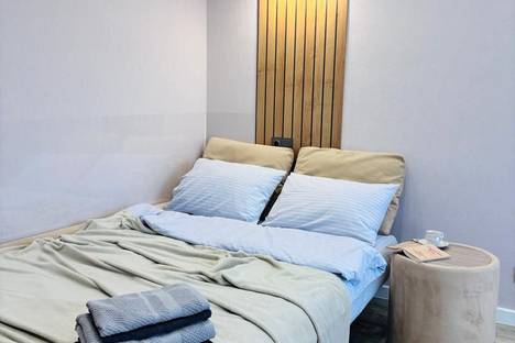 1-комнатная квартира в Омске, мкр. Заозёрный, ул. Бородина, 44А