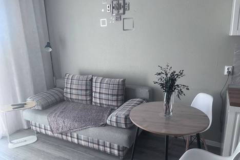 Однокомнатная квартира в аренду посуточно в Ленинградской области по адресу Всеволожский р-н , Свердловское г.п., д. Новосаратовка, ул. Первых, 4к7