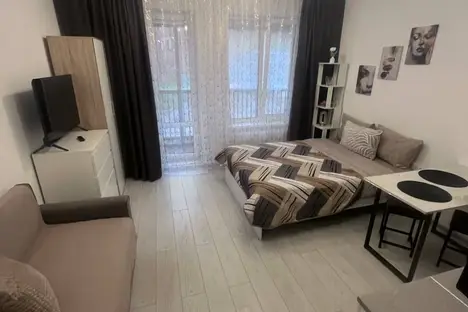 1-комнатная квартира в Санкт-Петербурге, Фарфоровская ул., 7к1