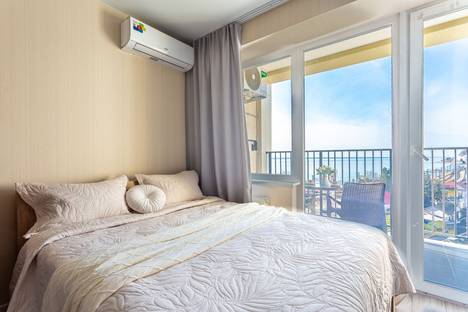 1-комнатная квартира в Дагомысе, Старошоссейная ул., 5к6