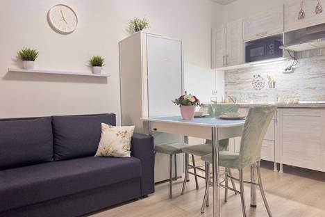 Однокомнатная квартира в аренду посуточно в Санкт-Петербурге по адресу Парашютная ул., 42к1