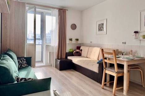 Однокомнатная квартира в аренду посуточно в Санкт-Петербурге по адресу Парашютная ул., 44к1