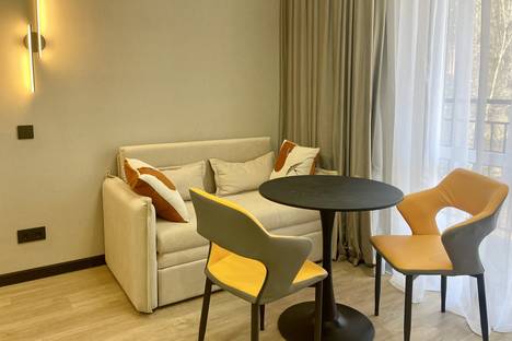 1-комнатная квартира в Адлере, ул. Искры, 88к8