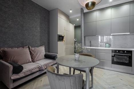 Однокомнатная квартира в аренду посуточно в Санкт-Петербурге по адресу пр-кт Обуховской Обороны, 70к4, метро Елизаровская