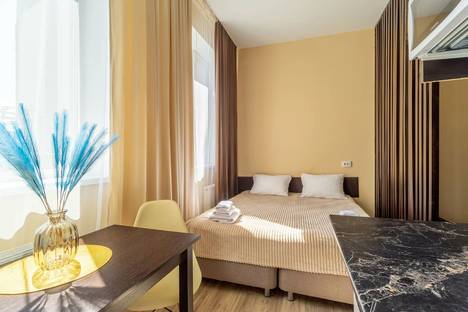 1-комнатная квартира в Нижнем Новгороде, Зелёная ул., 2А