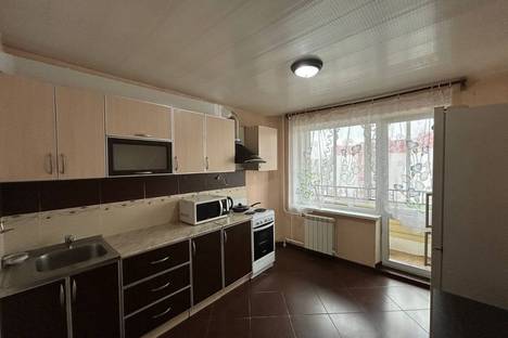 Однокомнатная квартира в аренду посуточно в Заславле по адресу 2-й мкр., 19