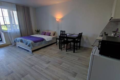 1-комнатная квартира в Челябинске, ул. 250-летия Челябинска, 29