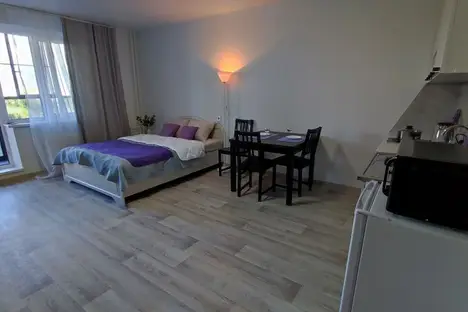 1-комнатная квартира в Челябинске, ул. 250-летия Челябинска, 29